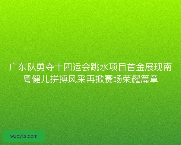 广东队勇夺十四运会跳水项目首金展现南粤健儿拼搏风采再掀赛场荣耀篇章