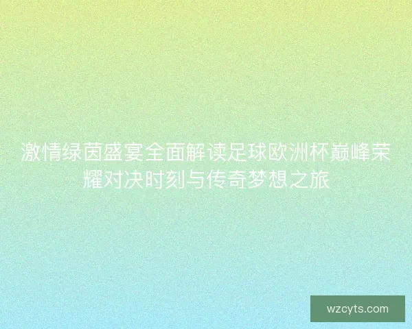 激情绿茵盛宴全面解读足球欧洲杯巅峰荣耀对决时刻与传奇梦想之旅