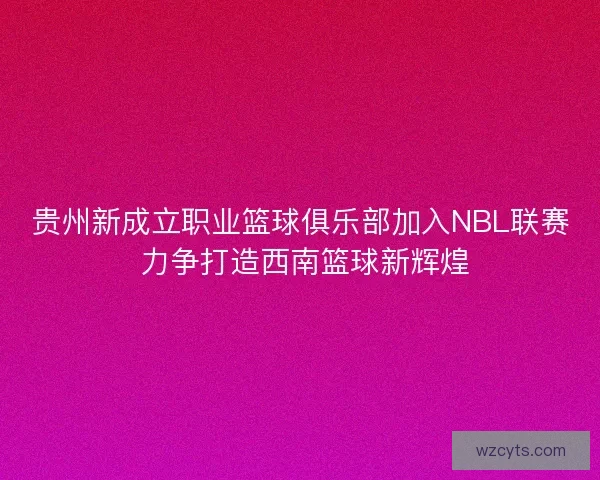 贵州新成立职业篮球俱乐部加入NBL联赛 力争打造西南篮球新辉煌